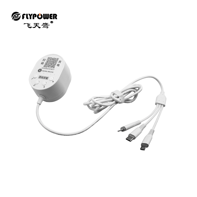 共享充電線：小項目，賺大錢