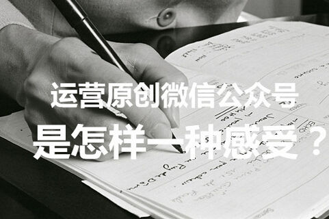 微信公眾號 微信運營