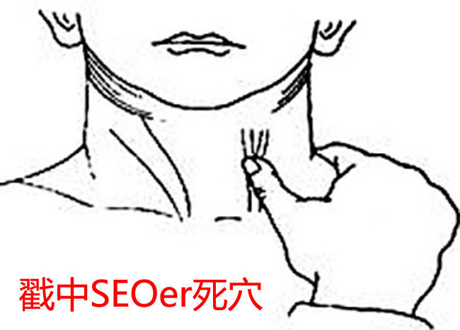 戳中SEOer死穴的網站