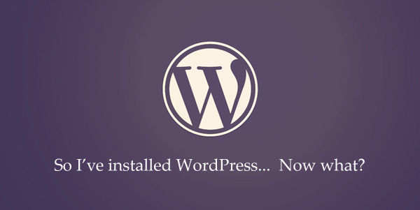 Wordpress 網站優化 網站安全性