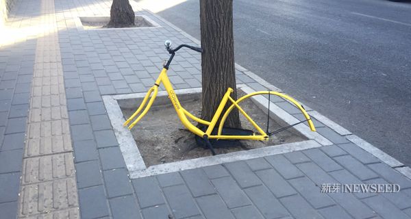 一天公布 30 多億融資，資本吹起了共享單車風口，又要砸錢讓它倒下