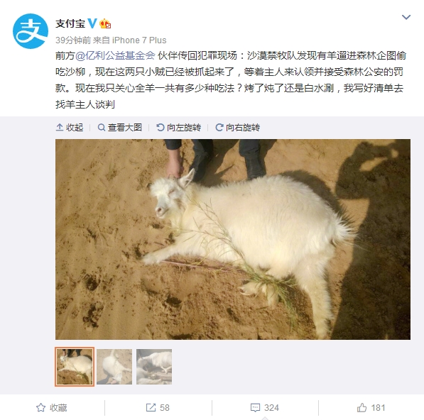 支付寶螞蟻森林抓獲兩只小賊 網友回復亮了